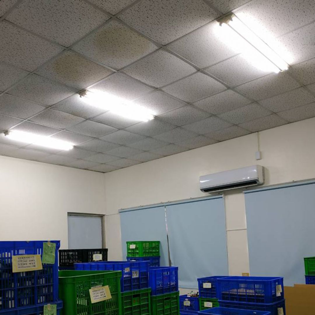 LED 